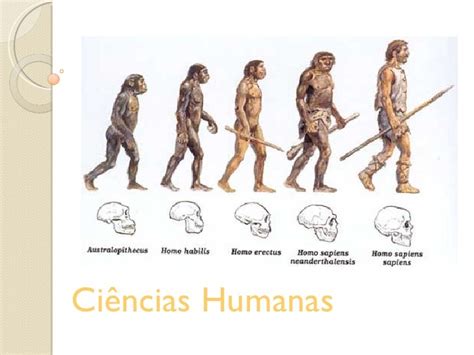 O Que Ciências Humanas - Ciencias humanas