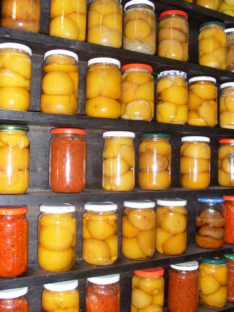 preserved lemon recipes 6