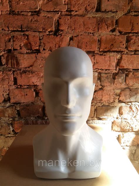 Купить Манекен головы в Минске - maneken.by