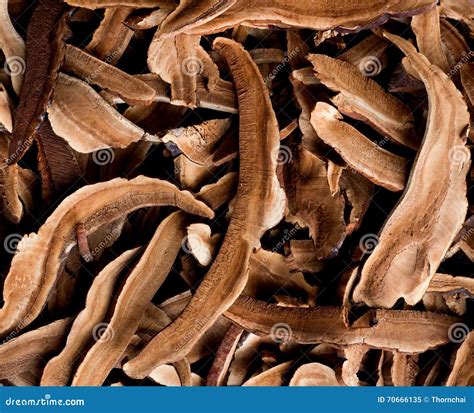 Lingzhi Chinese Traditional Medicine Stock Image - Image of reishi ...