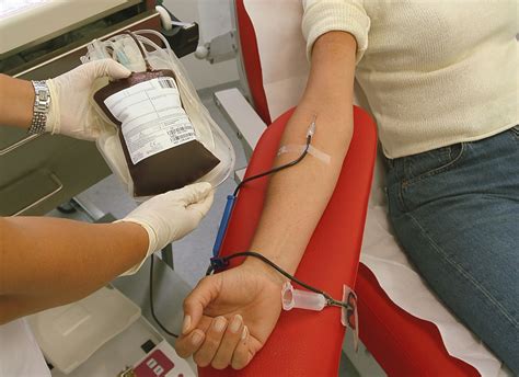 Red Cross issues urgent appeal for blood donors | The Bulletin