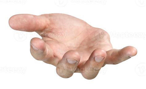 Open Hand PNGs for Free Download