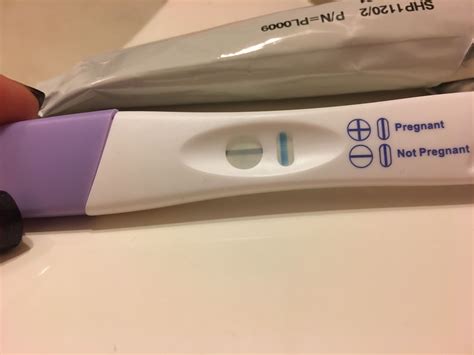 Pregmate com ovulation and pregnancy tests – Artofit