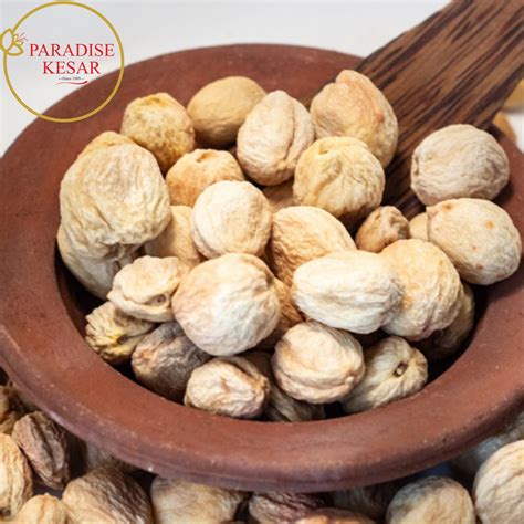 white apricot  paradise kesar