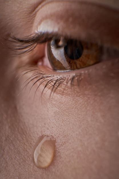 Premium Photo | Closeup brown eye with long eyelashes of crop anonymous