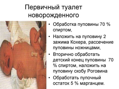 Периоды родов - презентация онлайн