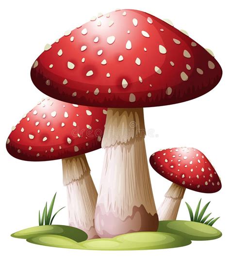 Cogumelo Vermelho Desenho - Cogumelo vermelho ilustração do vetor. Ilustração de vermelho - 35501525