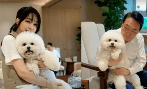 South Korea's First Lady Publicly Supports Dog Meat Ban - 世界愛犬聯盟