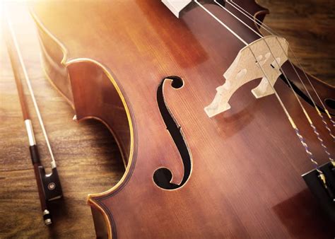 What Are the Cello Strings in Order | Johnson String Instrument