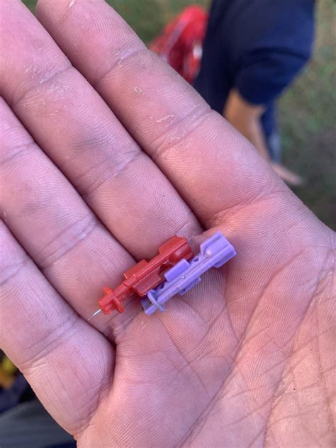 Had my finger pricked by this in the yard outside my apartment. Anyone