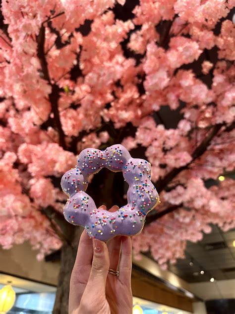 Danville, VA — ISO ISO RAMEN