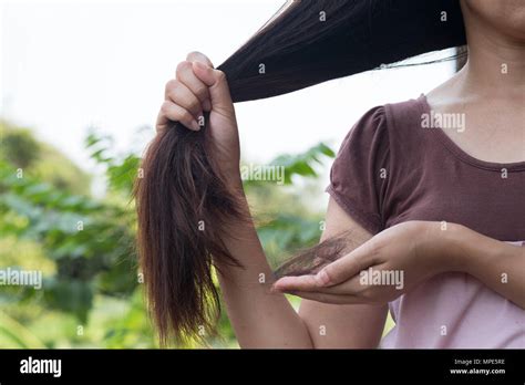 tuft  hair stock  tuft  hair stock images alamy