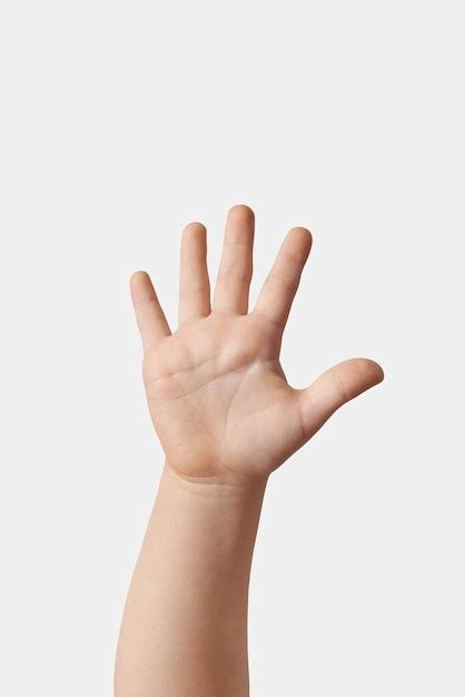 Meisjes Hand Afbeeldingen - Gratis downloaden op Freepik