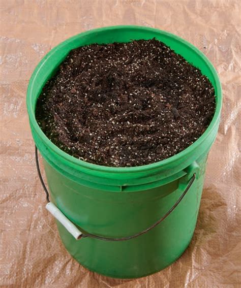 Square Foot Gardening Soil Calculator