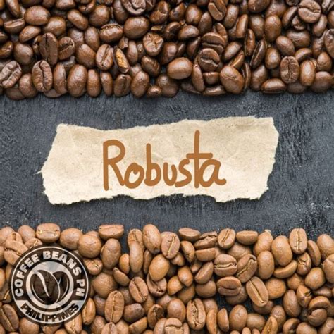 Robusta Beans or Ground Premium Quality - Coffee Beans PH | Home of ...
