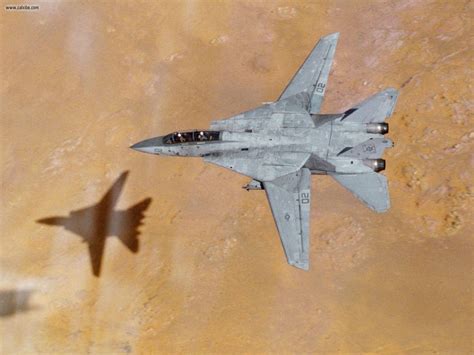 flying wonders   tomcat