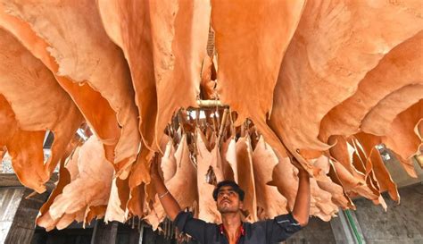 manfaat  keunggulan kulit sapi  kerajinan