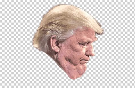 Башня Дональда Трампа США, Дональд Трамп, знаменитости, лицо, голова ...