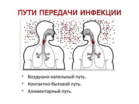 Лекция о туберкулезе - презентация онлайн