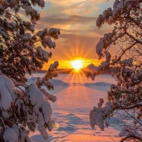 produk morosembako shopee indonesia