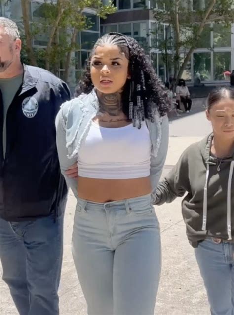 Why Was Chrisean Rock Arrested - Surveys Hyatt