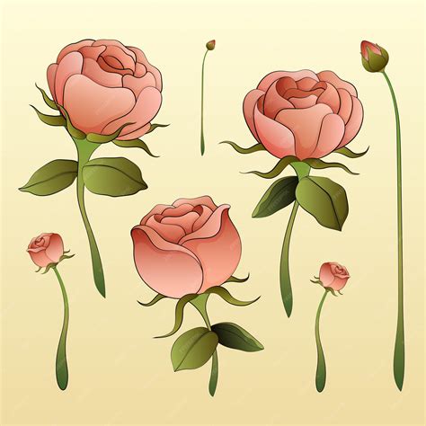 Juliette Rose Fleurs Mignon Clipart Dessin Animé Dessin Illustration