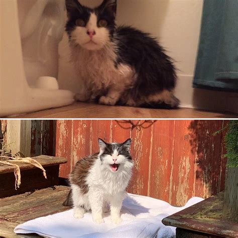 293 best u/tenleid images on Pholder | Tenleid, Nsfwcosplay and