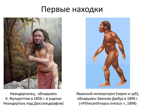 История первобытного общества - презентация онлайн