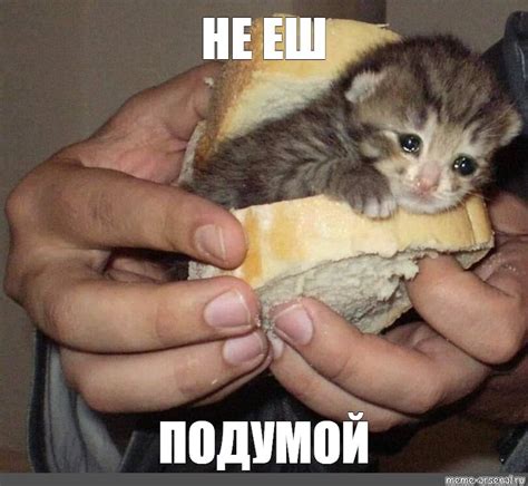 ﻿антидепрессанты рассыпались / котэ :: личинки котэ :: мемчики ...