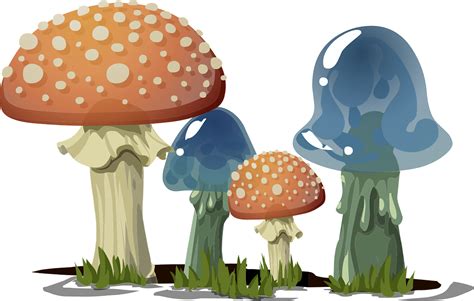 Download Mushrooms, Fungi, Toadstools. Royalty-Free Vector Graphic - Pixabay