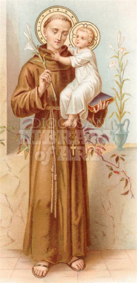 diocesan library  art saint anthony  padua