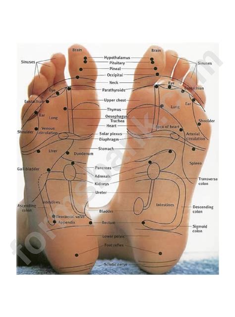 Printable Chart Reflexology Foot Map | Hot Sex Picture