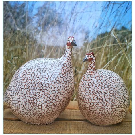 guinea fowl color 2