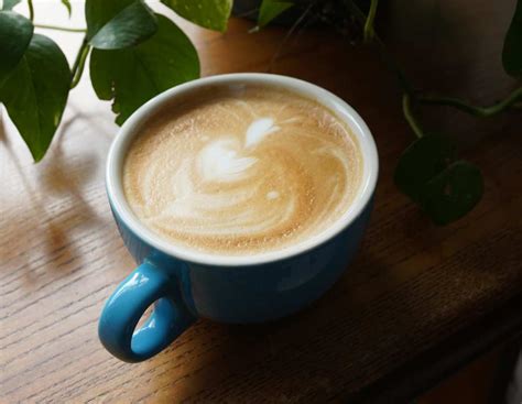 gallery cafe review chicago  infatuation