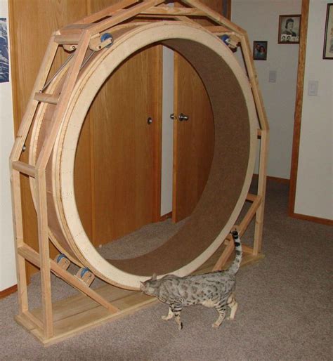 Diy Cat Treadmill / Found on Google from quora.com | Cat exercise wheel ...