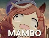 mambo gifs tenor