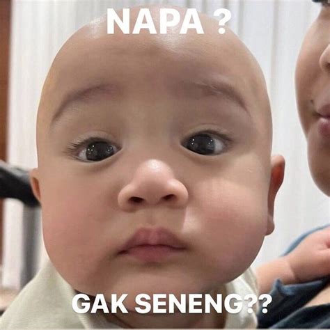 meme cipung humor lucu meme lucu tweet lucu