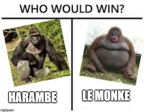 The battle of gods - Imgflip