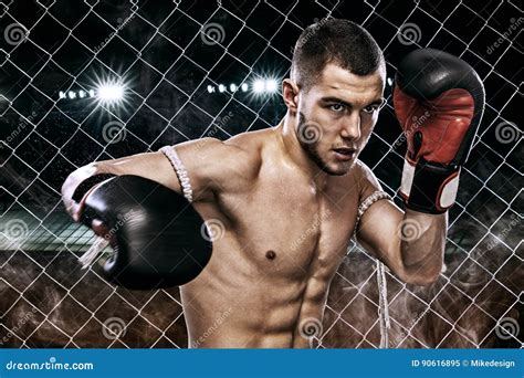 Боксер спортсмена Muay тайский воюя в клетке бокса Предпосылка с ...