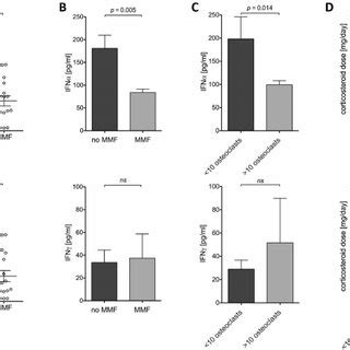 sle patients  mmf therapy    osteoclast count