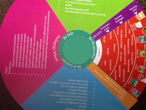 pedagogy wheel technologyin ninberry special school