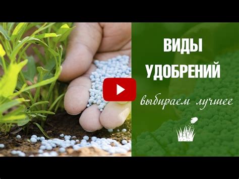 Удобрения для сада и огорода: список органических, минеральных и ...