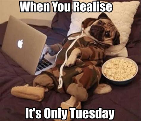 Don't Start Your Week Without These Hilarious Happy Tuesday Memes for Work! - bk2avlv