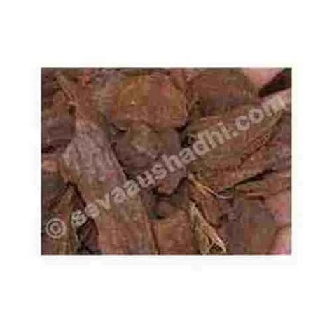 Kanchnar at best price in Indore by Sewa Aushadhi Bhandar | ID: 3843638397