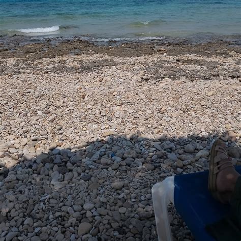 Post from 𝓝𝓲𝓴𝓴𝓲 𝓓𝓪𝓷𝓲𝓮𝓵