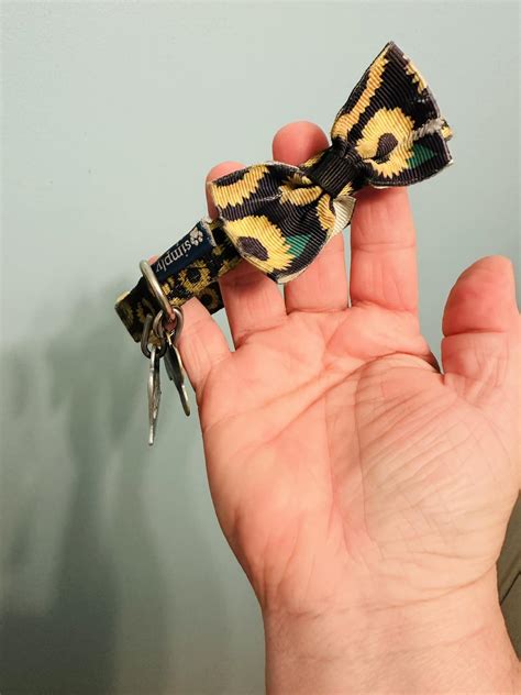 mountain cookin with missy net worth husband