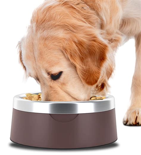 How Much Food Should A Large Dog Eat A Day at Caitlyn Buvelot blog
