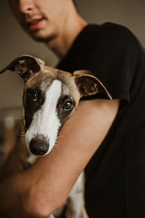 Case study: The mouthy puppy + PDF handout