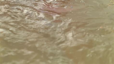 Squirting Stock Video Footage for Free Download