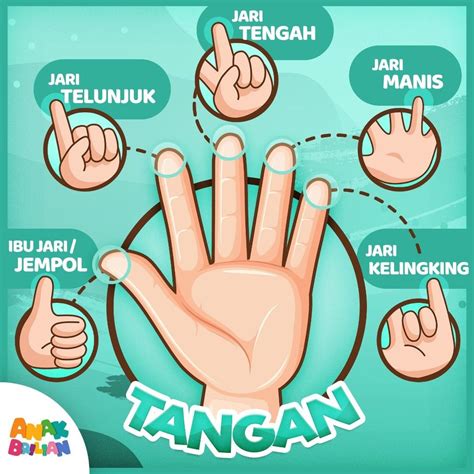 mari menghafal nama jari jari  tangan anakrbilian pendidikan